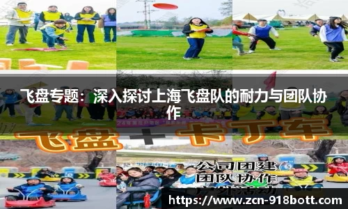 飞盘专题：深入探讨上海飞盘队的耐力与团队协作